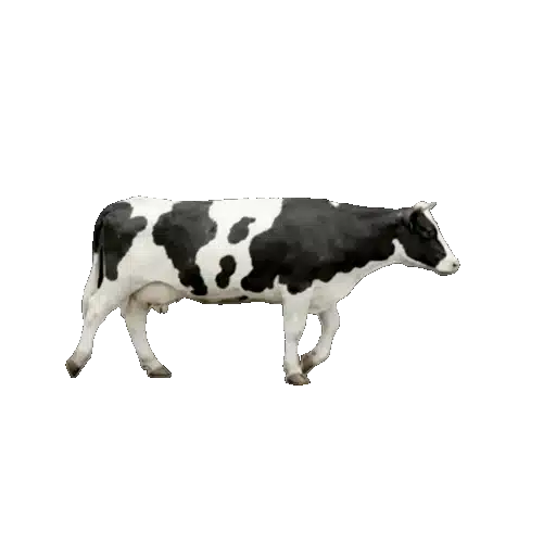 Loading cow